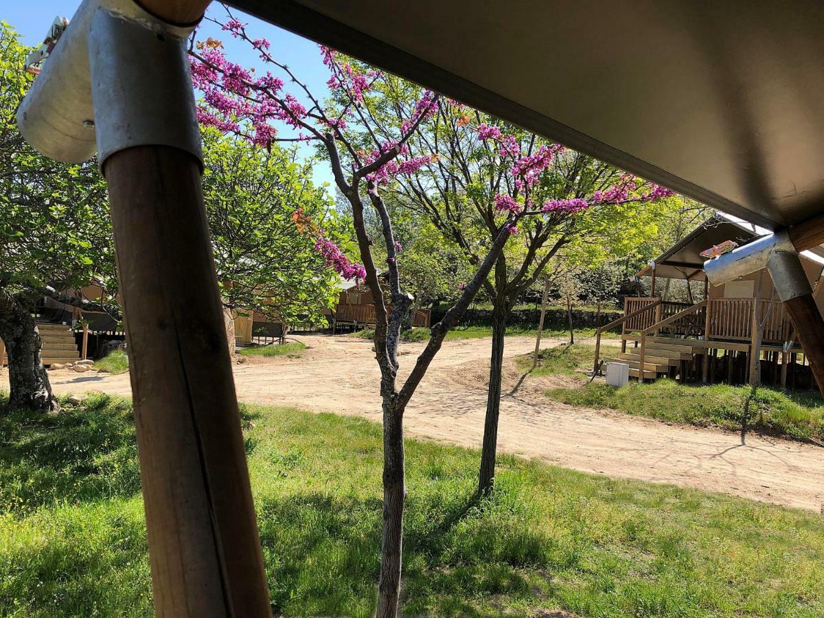 Veragua. Glamping Y Apartamentos Turisticos ビジャヌエバ・デ・ラ・ベラ エクステリア 写真