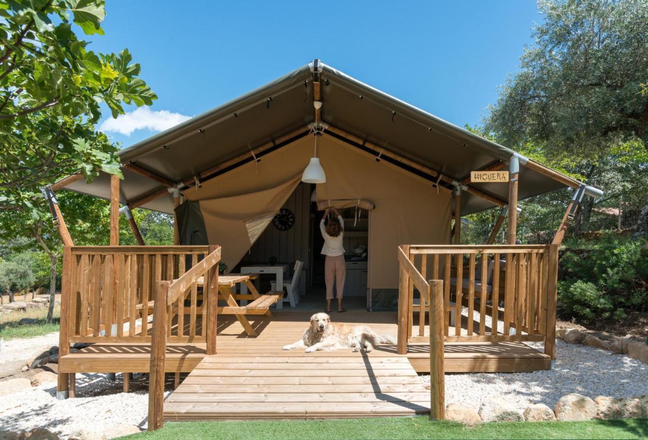 Veragua. Glamping Y Apartamentos Turisticos ビジャヌエバ・デ・ラ・ベラ エクステリア 写真
